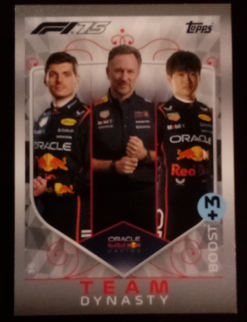 Verstappen, Horner & Tsunoda