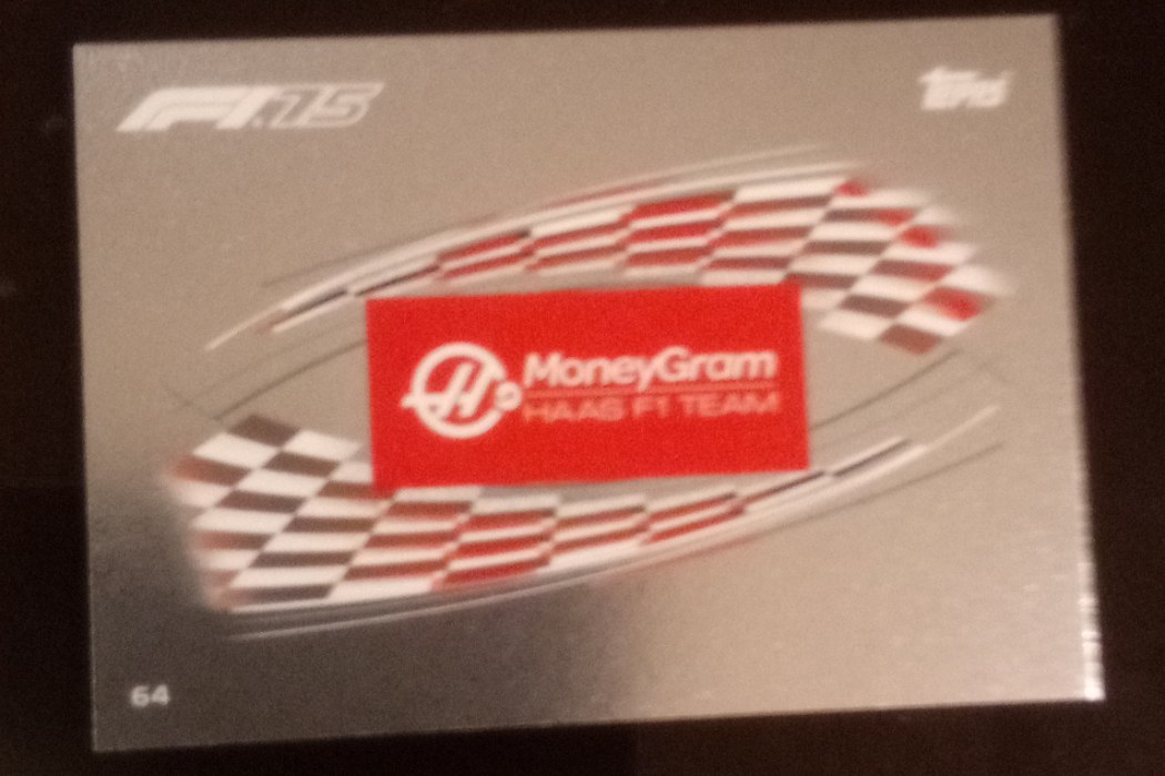Moneygram Haas Team Logo